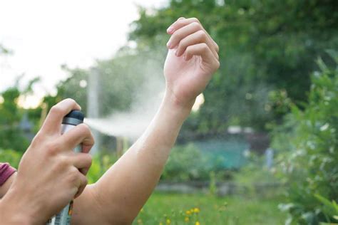 蚊子怕什麼味道|蚊子怕什麼？12種驅蚊植物大公開！加碼3招防蚊方法